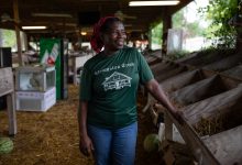 Rural Narratives